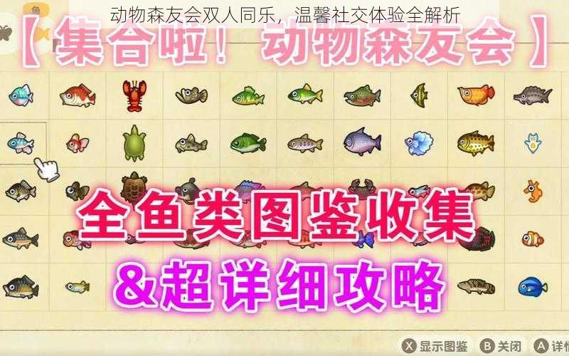 动物森友会双人同乐,温馨社交体验全解析