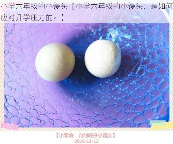 小学六年级的小馒头【小学六年级的小馒头,是如何应对升学压力的?】