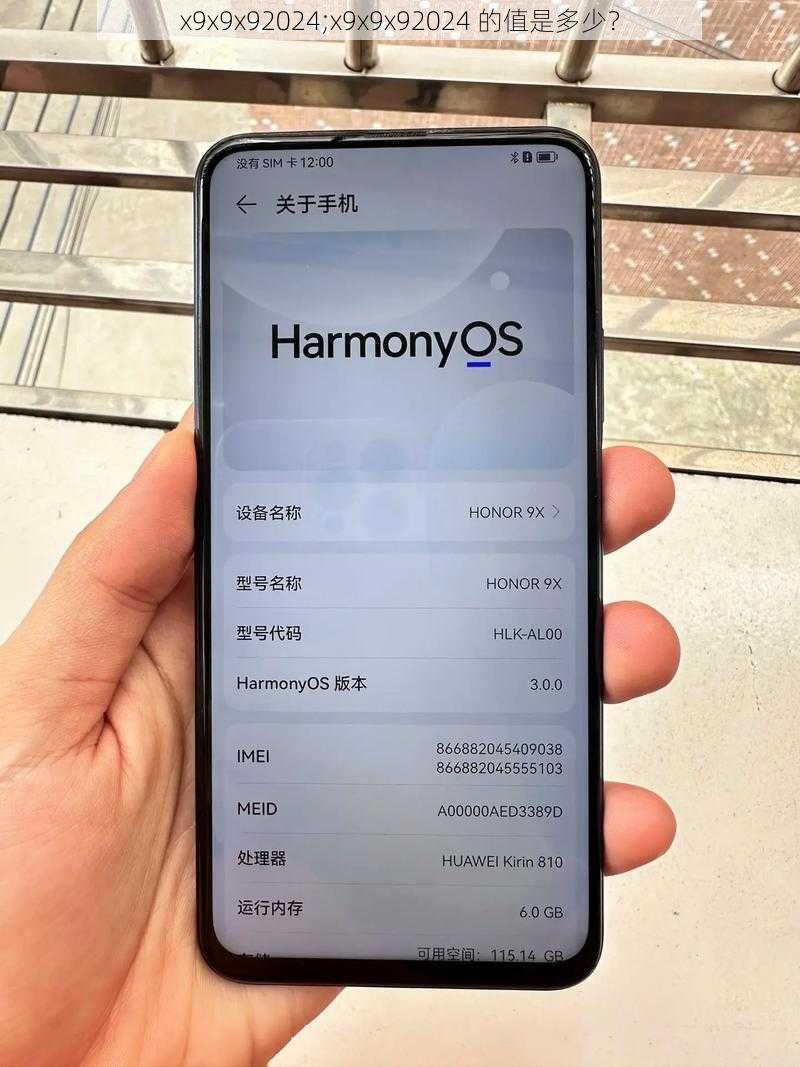 x9x9x92024;x9x9x92024 的值是多少?