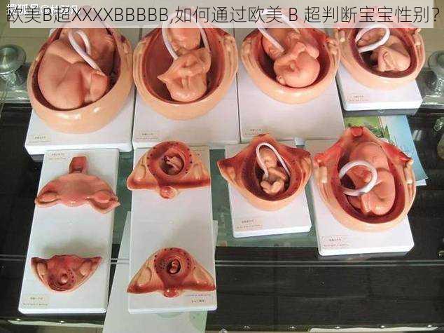 欧美B超XXXXBBBBB,如何通过欧美 B 超判断宝宝性别?