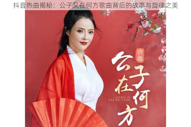 抖音热曲揭秘:公子又在何方歌曲背后的故事与旋律之美