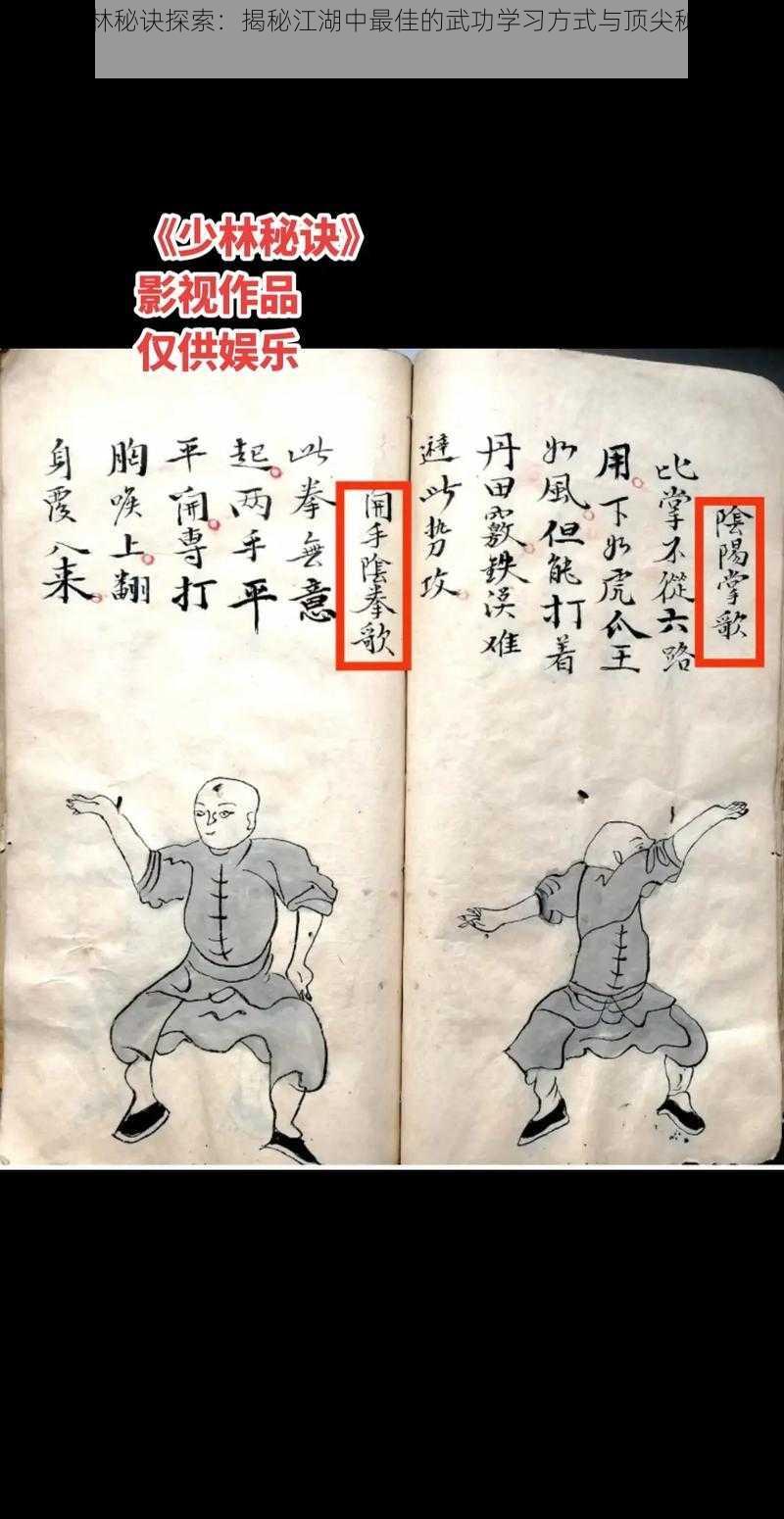 绝世武林秘诀探索:揭秘江湖中最佳的武功学习方式与顶尖秘籍研习指南
