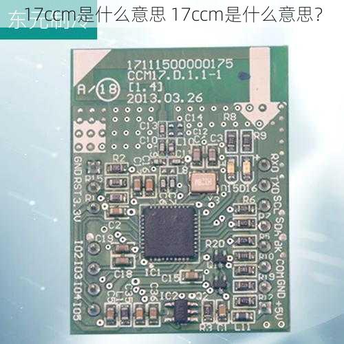 17ccm是什么意思 17ccm是什么意思?