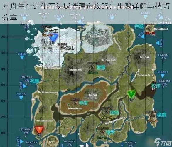 方舟生存进化石头城墙建造攻略:步骤详解与技巧分享