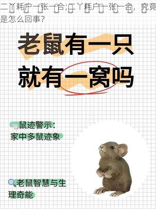 二丫耗户一张一合;二丫耗户一张一合,究竟是怎么回事?