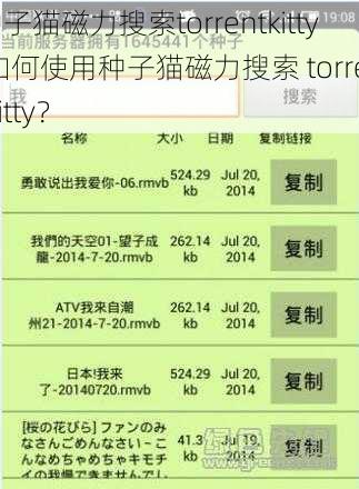 种子猫磁力搜索torrentkitty,如何使用种子猫磁力搜索 torrentkitty?