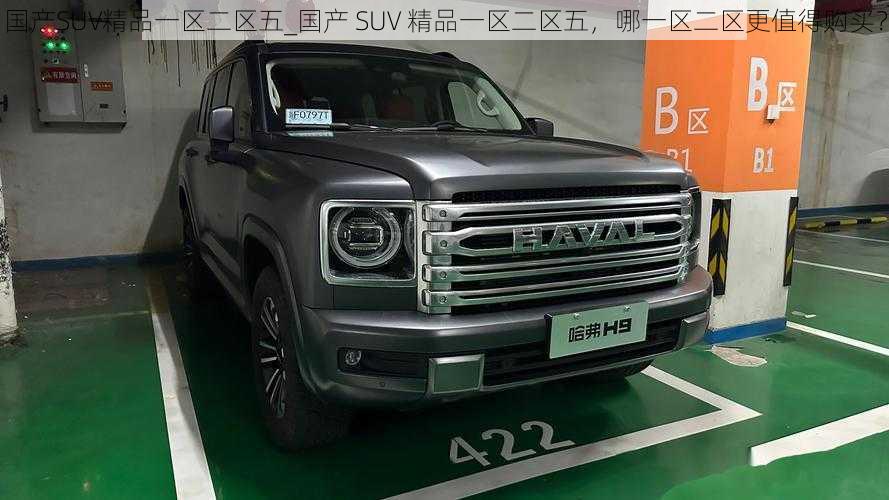 国产SUV精品一区二区五_国产 SUV 精品一区二区五,哪一区二区更值得购买?