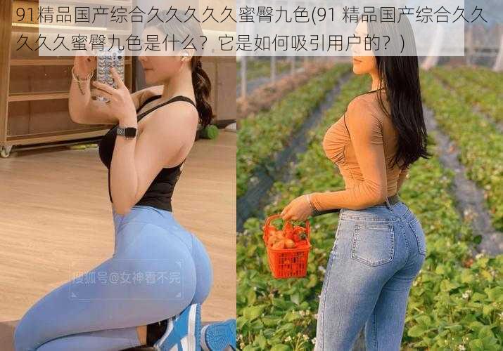 91精品国产综合久久久久久蜜臀九色(91 精品国产综合久久久久久蜜臀九色是什么?它是如何吸引用户的?)