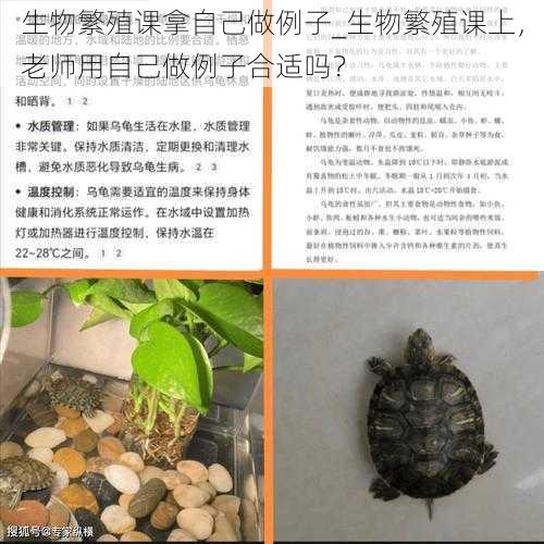 生物繁殖课拿自己做例子_生物繁殖课上,老师用自己做例子合适吗?
