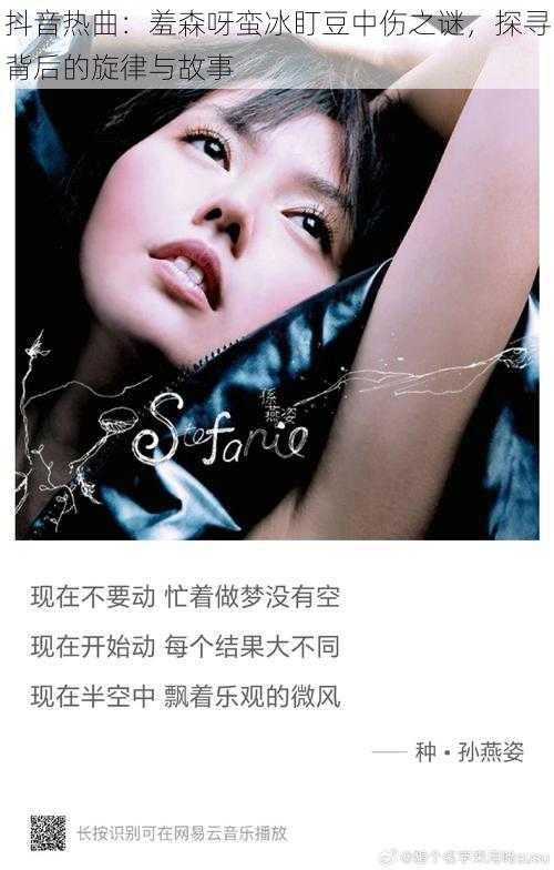 抖音热曲:羞森呀蛮冰盯豆中伤之谜,探寻背后的旋律与故事