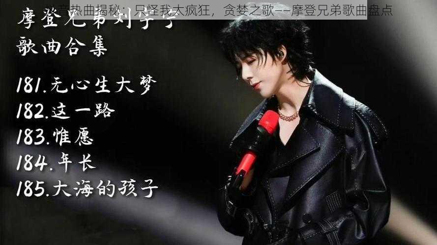 抖音热曲揭秘:只怪我太疯狂,贪婪之歌——摩登兄弟歌曲盘点