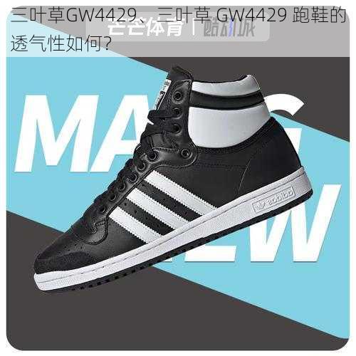 三叶草GW4429、三叶草 GW4429 跑鞋的透气性如何?