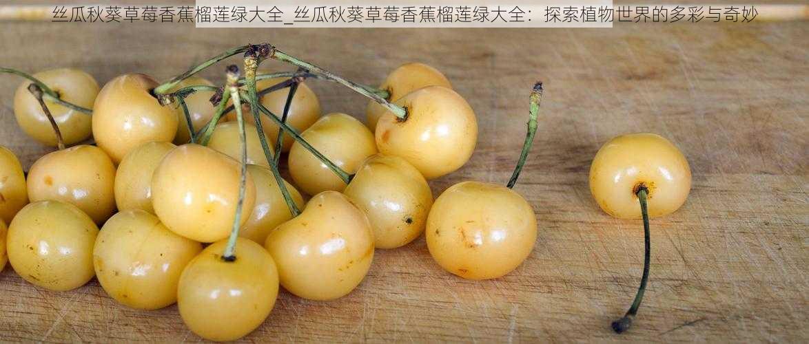 丝瓜秋葵草莓香蕉榴莲绿大全_丝瓜秋葵草莓香蕉榴莲绿大全:探索植物世界的多彩与奇妙