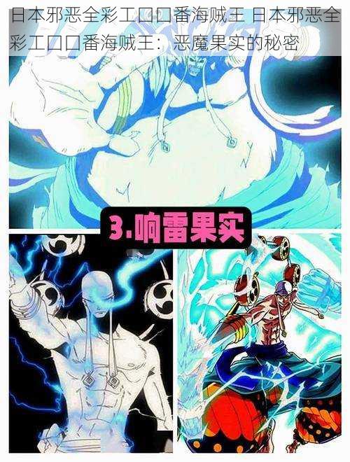 日本邪恶全彩工囗囗番海贼王 日本邪恶全彩工囗囗番海贼王:恶魔果实的秘密