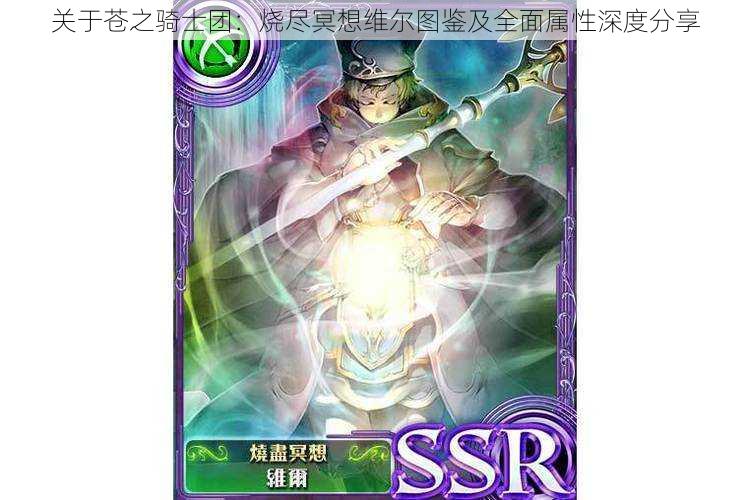 关于苍之骑士团:烧尽冥想维尔图鉴及全面属性深度分享