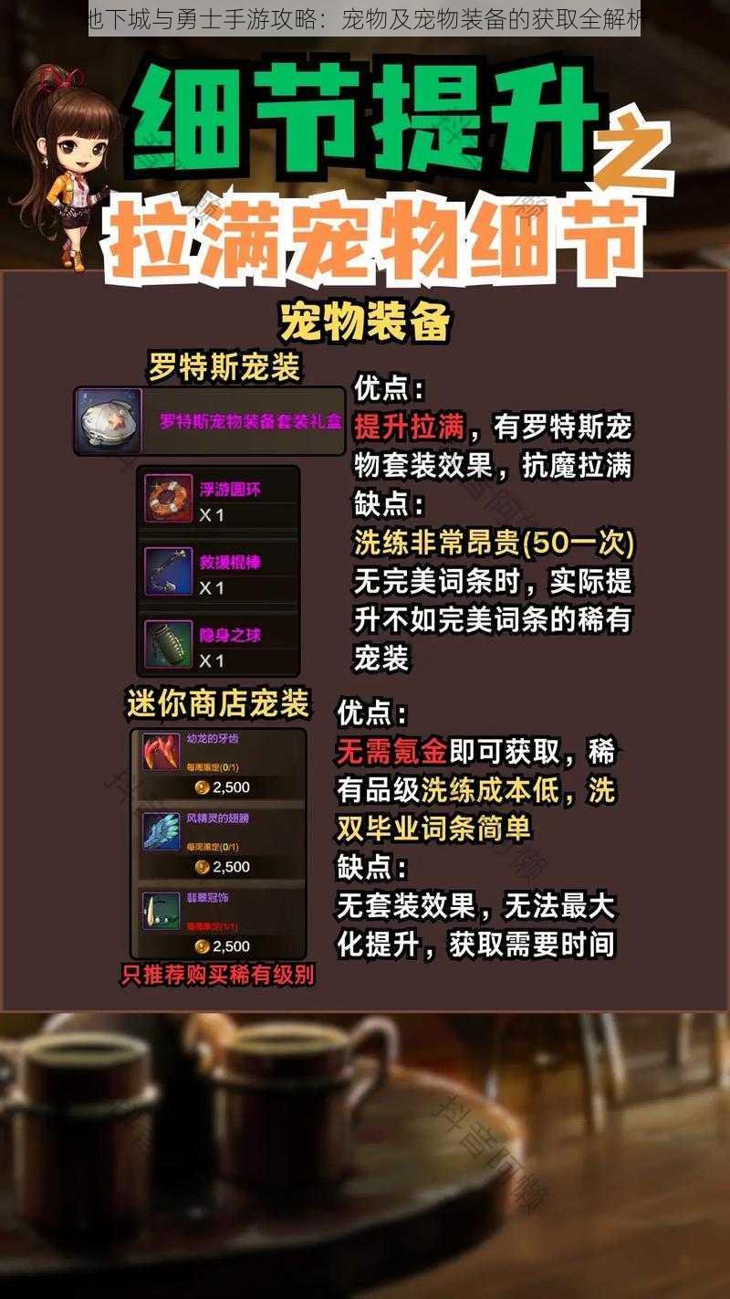 地下城与勇士手游攻略:宠物及宠物装备的获取全解析