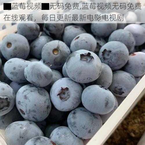 ▇蓝莓视频▇无码免费,蓝莓视频无码免费在线观看,每日更新最新电影电视剧