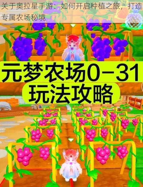 关于奥拉星手游:如何开启种植之旅,打造专属农场秘境