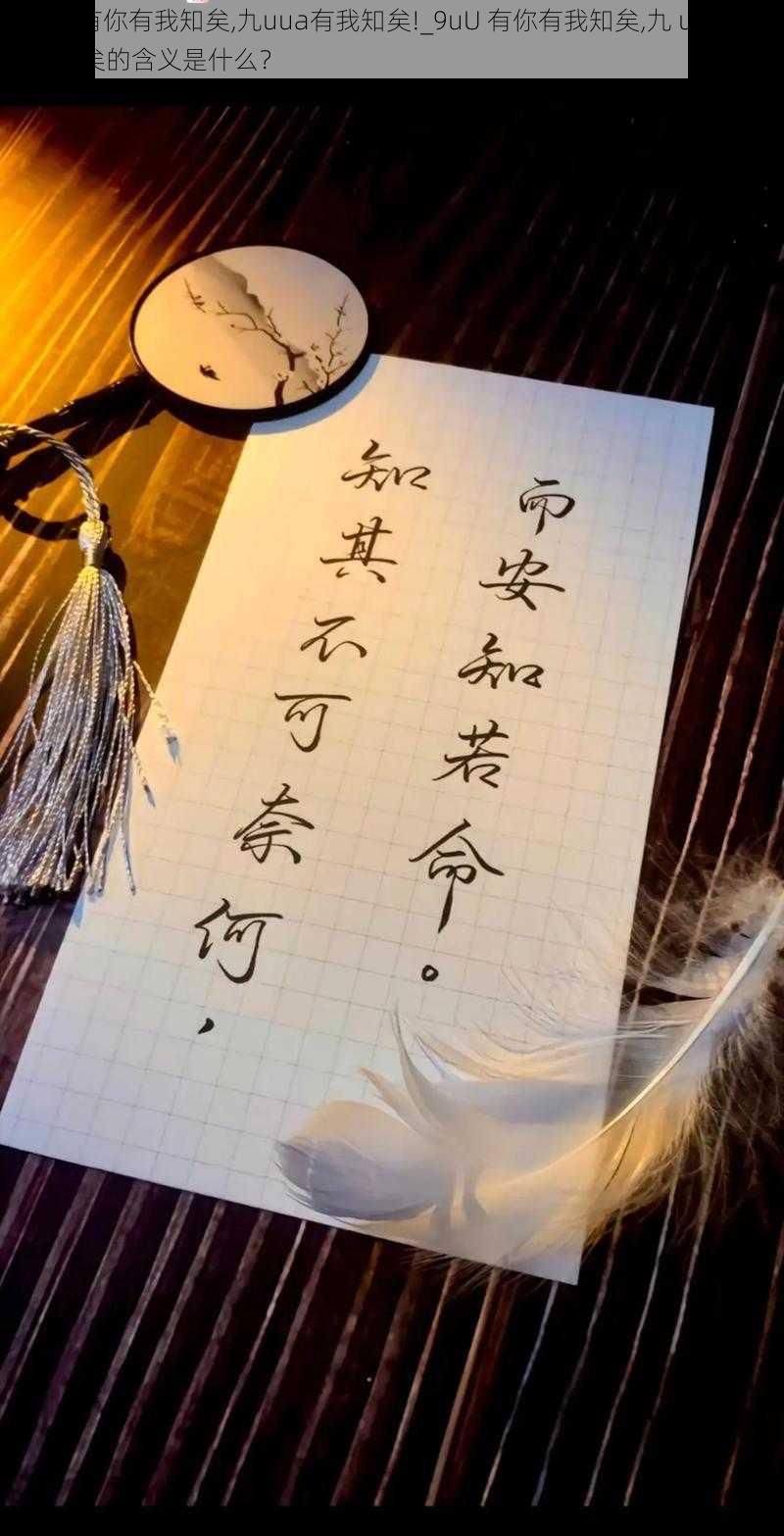 9uU有你有我知矣,九uua有我知矣!_9uU 有你有我知矣,九 uua 有我知矣的含义是什么?