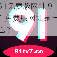 91免费版网址 91 免费版网址是什么?