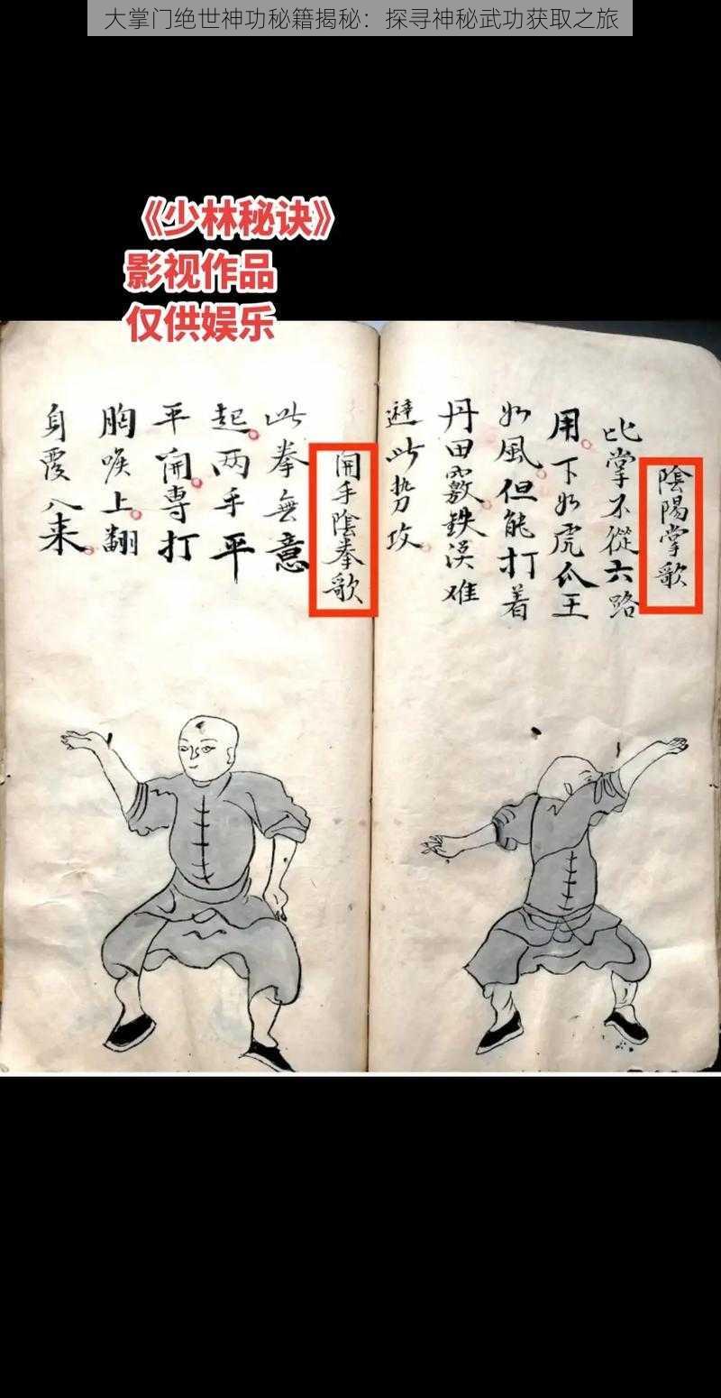 大掌门绝世神功秘籍揭秘:探寻神秘武功获取之旅