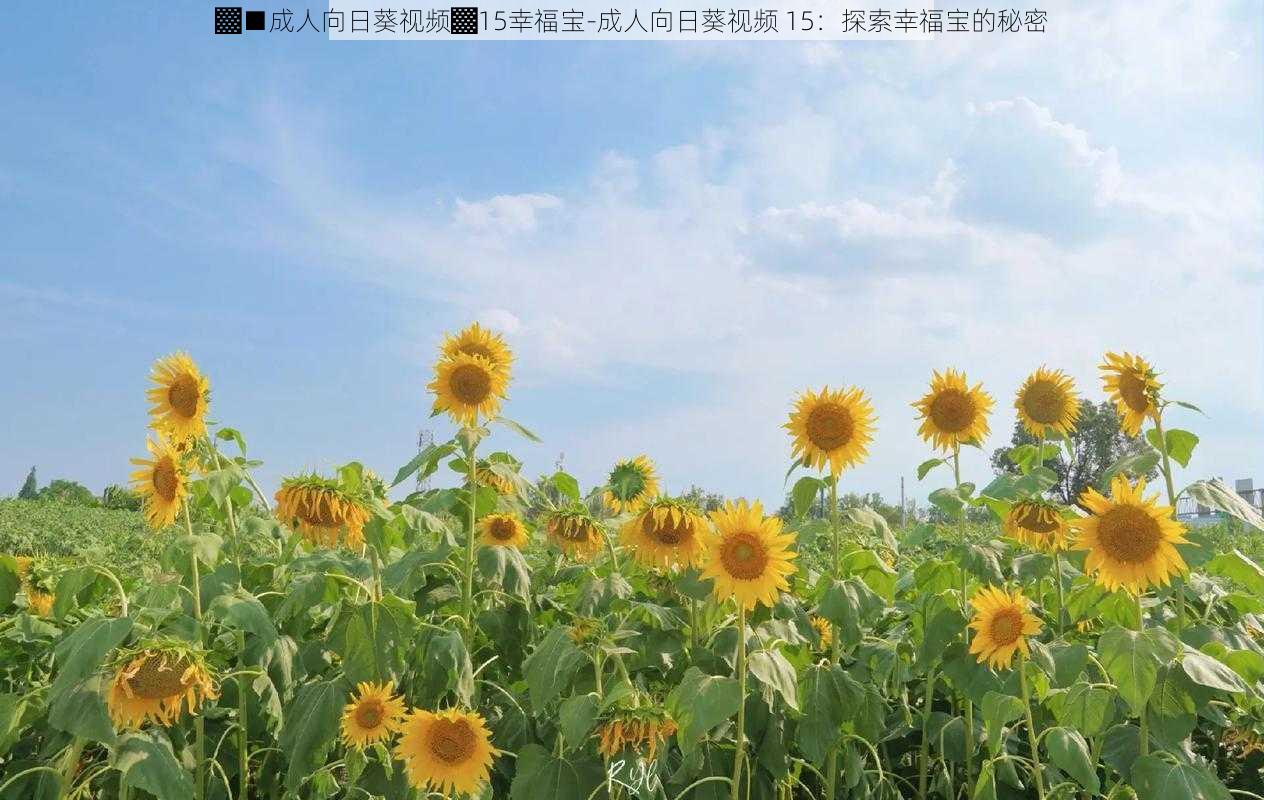 ▓■成人向日葵视频▓15幸福宝-成人向日葵视频 15:探索幸福宝的秘密