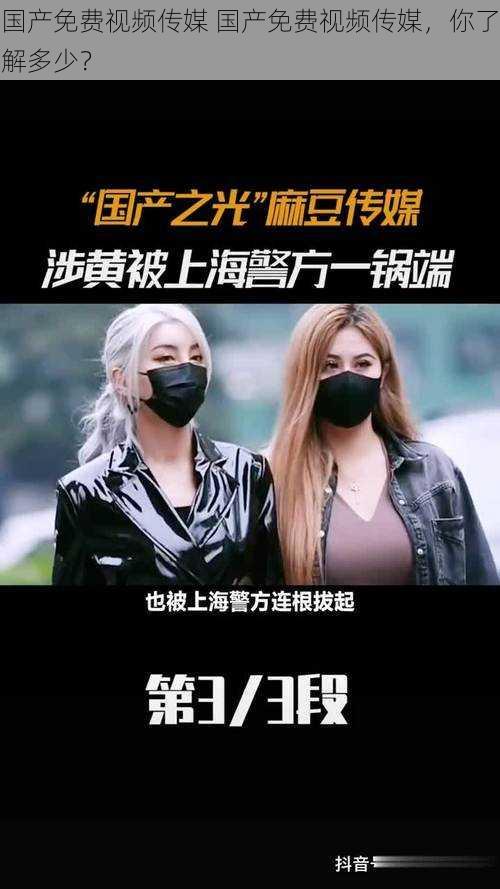 国产免费视频传媒 国产免费视频传媒,你了解多少?