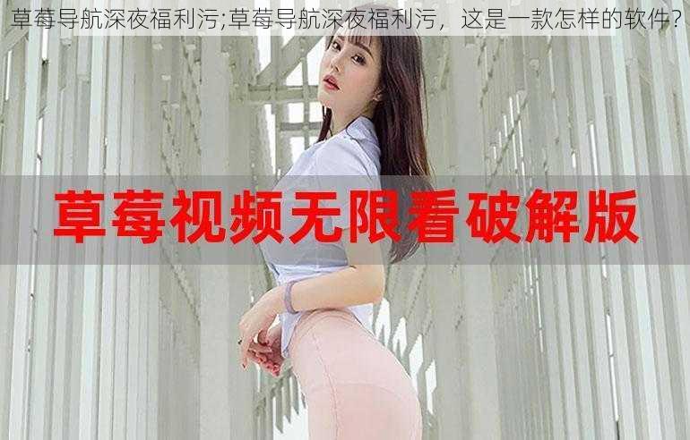 草莓导航深夜福利污;草莓导航深夜福利污,这是一款怎样的软件?