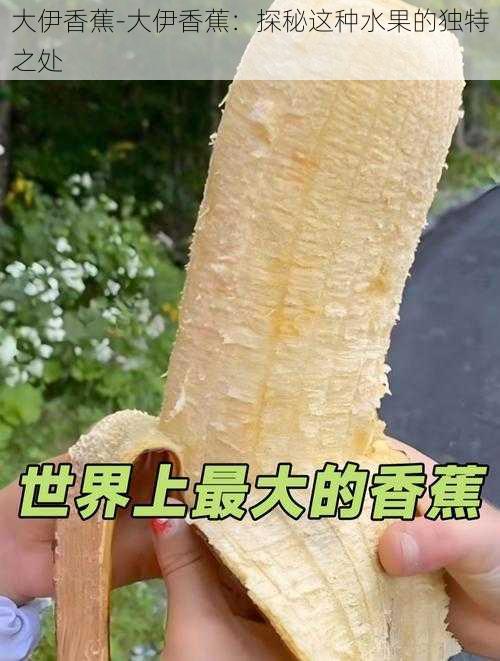大伊香蕉-大伊香蕉:探秘这种水果的独特之处