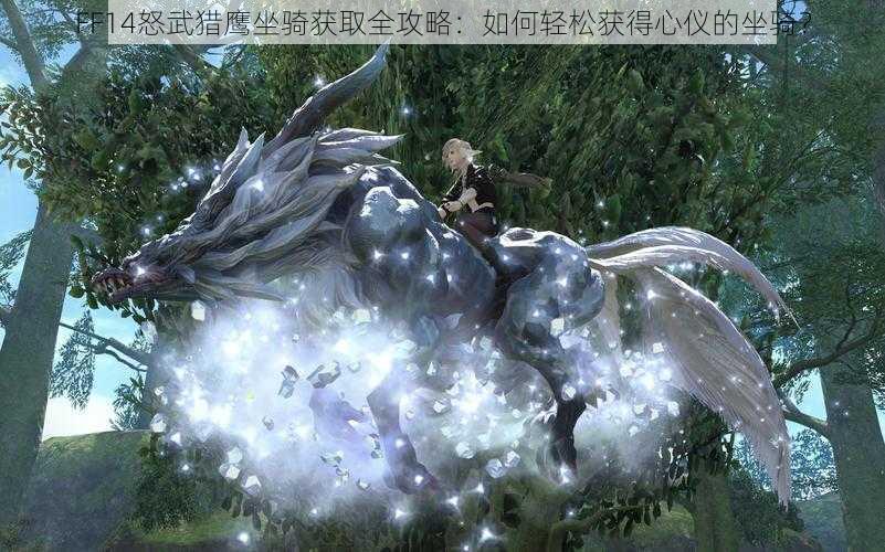 FF14怒武猎鹰坐骑获取全攻略:如何轻松获得心仪的坐骑?