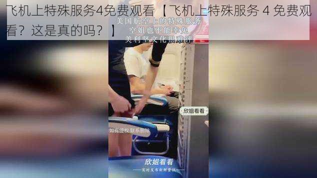 飞机上特殊服务4免费观看【飞机上特殊服务 4 免费观看?这是真的吗?】
