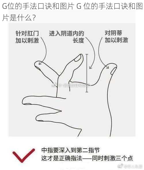 G位的手法口诀和图片 G 位的手法口诀和图片是什么?