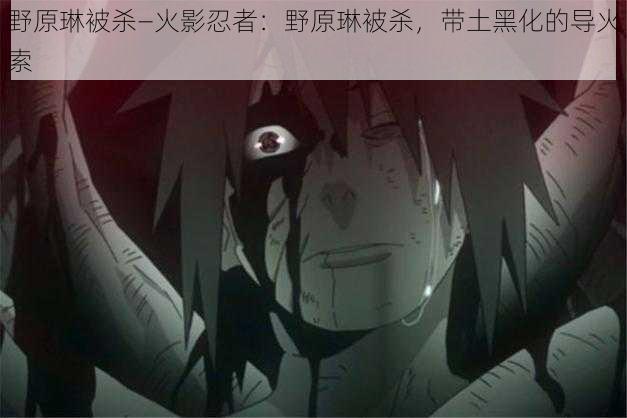 野原琳被杀—火影忍者:野原琳被杀,带土黑化的导火索