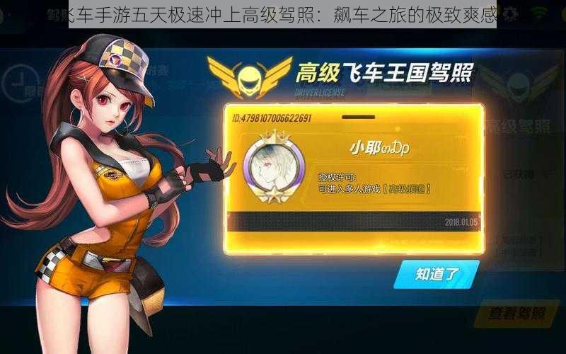 QQ飞车手游五天极速冲上高级驾照:飙车之旅的极致爽感体验