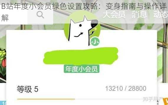 B站年度小会员绿色设置攻略:变身指南与操作详解