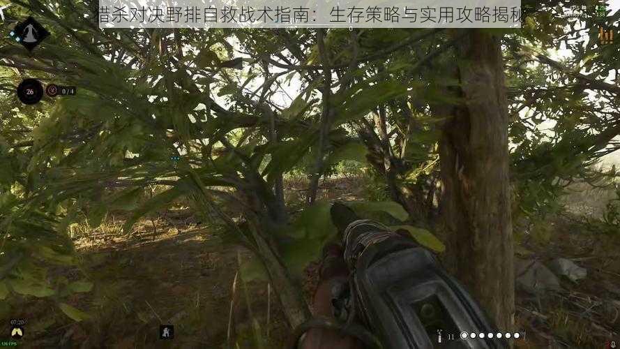 猎杀对决野排自救战术指南:生存策略与实用攻略揭秘