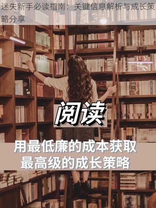 迷失新手必读指南:关键信息解析与成长策略分享