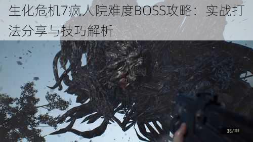 生化危机7疯人院难度BOSS攻略:实战打法分享与技巧解析