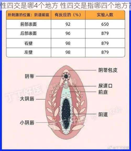 性四交是哪4个地方 性四交是指哪四个地方?
