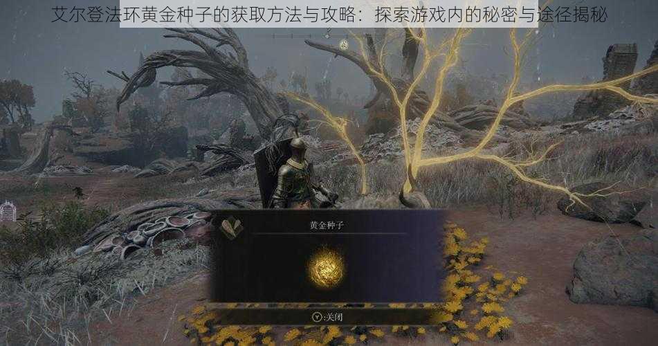 艾尔登法环黄金种子的获取方法与攻略:探索游戏内的秘密与途径揭秘
