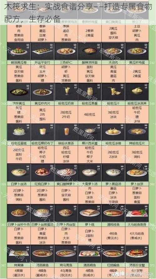 木筏求生:实战食谱分享——打造专属食物配方,生存必备