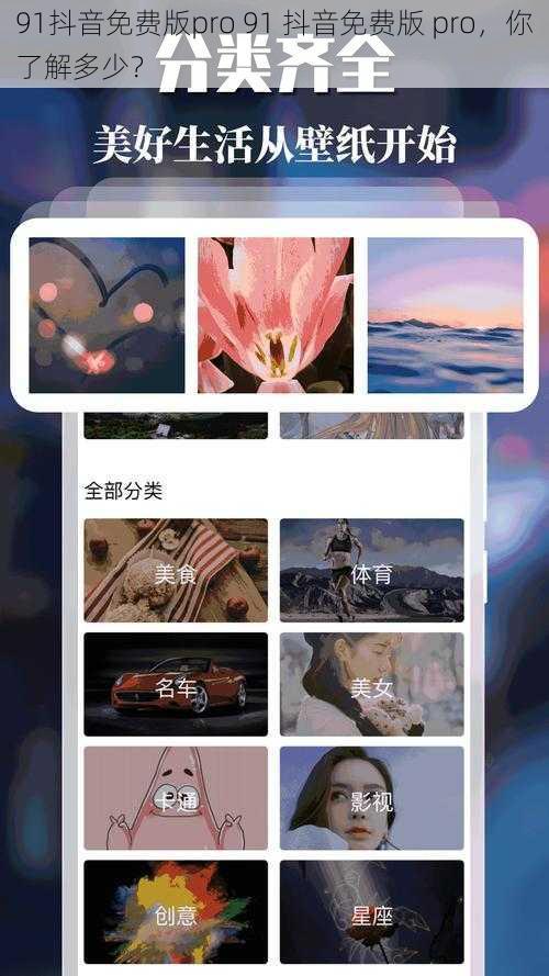 91抖音免费版pro 91 抖音免费版 pro,你了解多少?