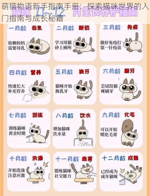 萌猫物语新手指南手册:探索猫咪世界的入门指南与成长秘籍