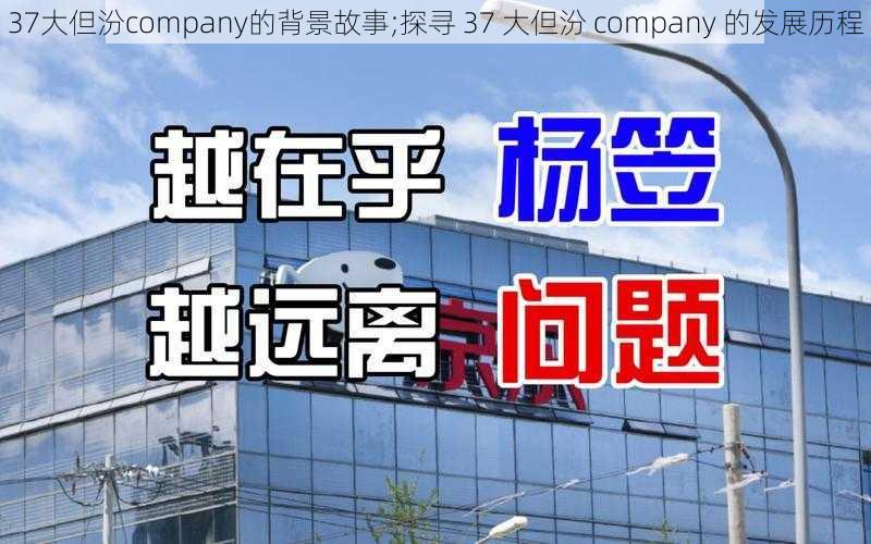 37大但汾company的背景故事;探寻 37 大但汾 company 的发展历程