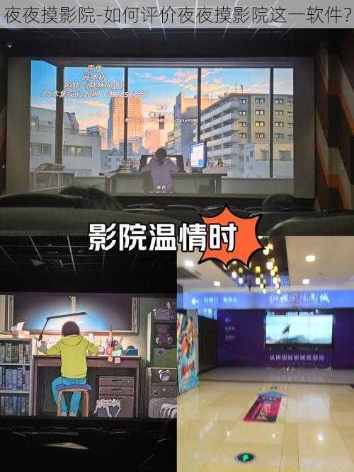 夜夜摸影院-如何评价夜夜摸影院这一软件?