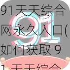 91天天综合网永久入口(如何获取 91 天天综合网永久入口?)