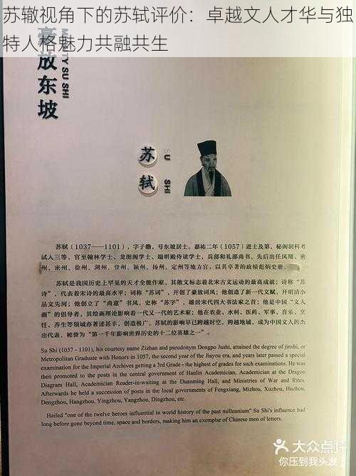 苏辙视角下的苏轼评价:卓越文人才华与独特人格魅力共融共生