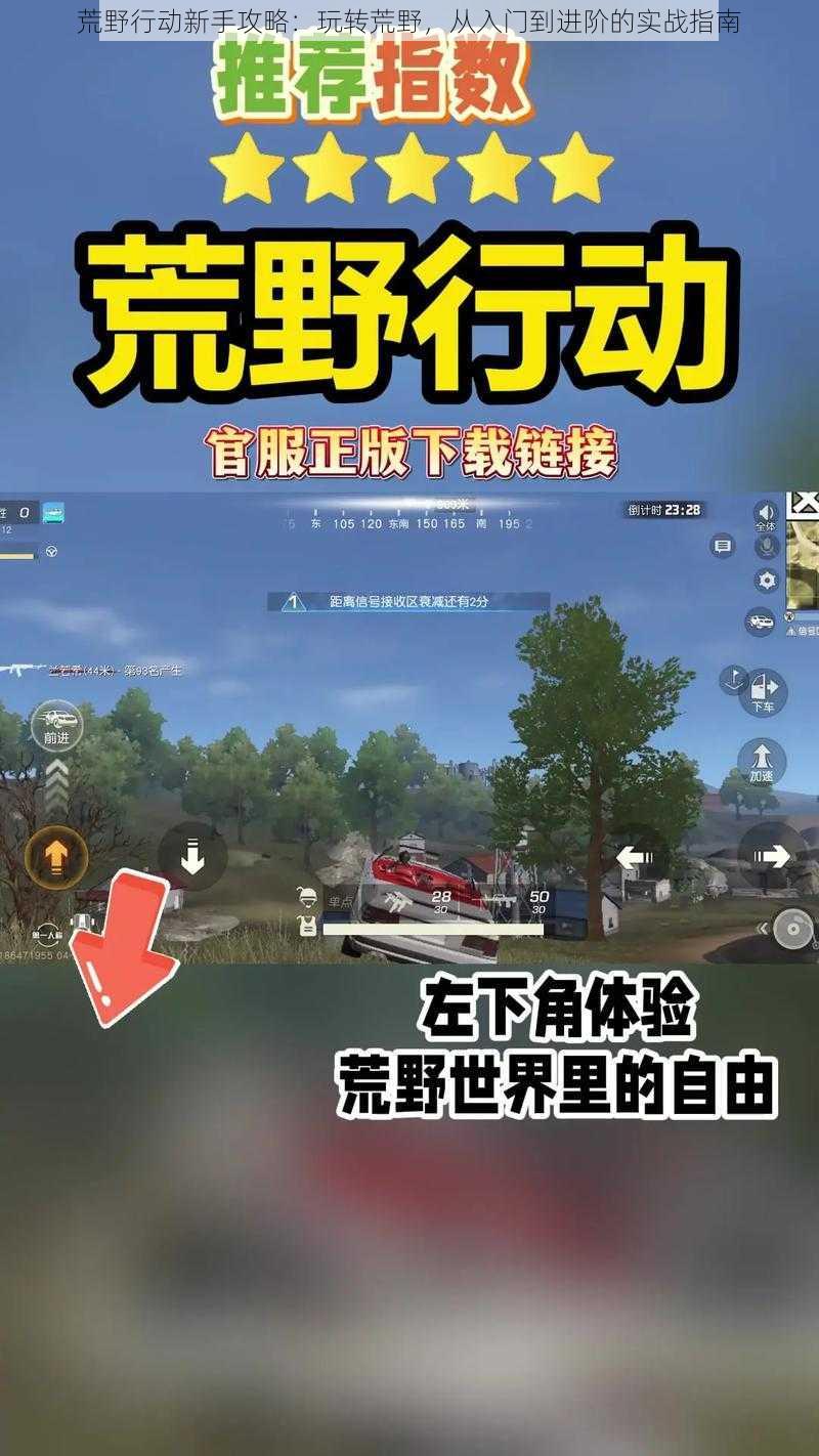荒野行动新手攻略:玩转荒野,从入门到进阶的实战指南