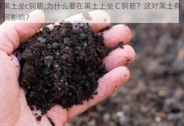 黑土坐c钢筋;为什么要在黑土上坐 C 钢筋?这对黑土有何影响?