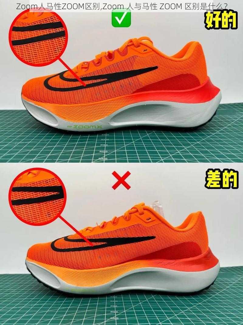 Zoom人马性ZOOM区别,Zoom 人与马性 ZOOM 区别是什么?